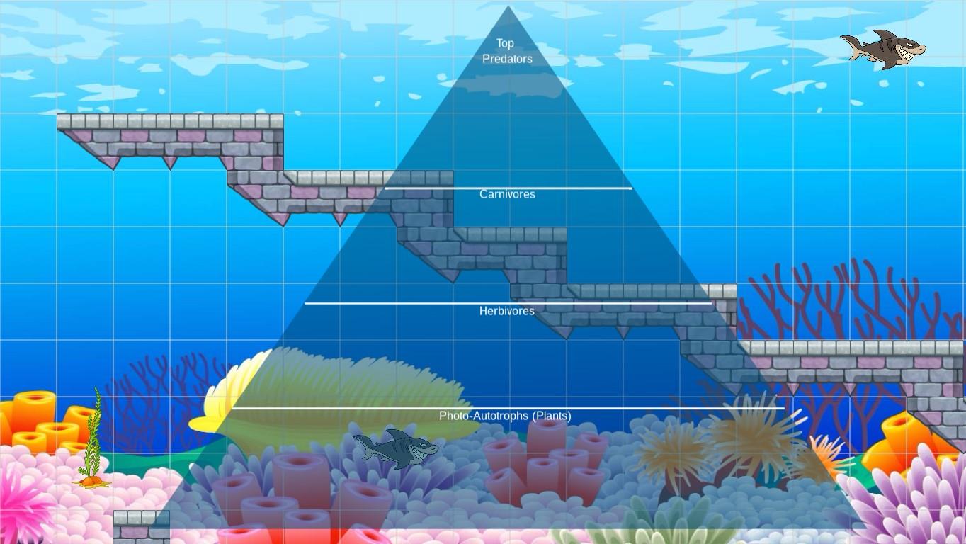 Ocean Ecological Pyramid