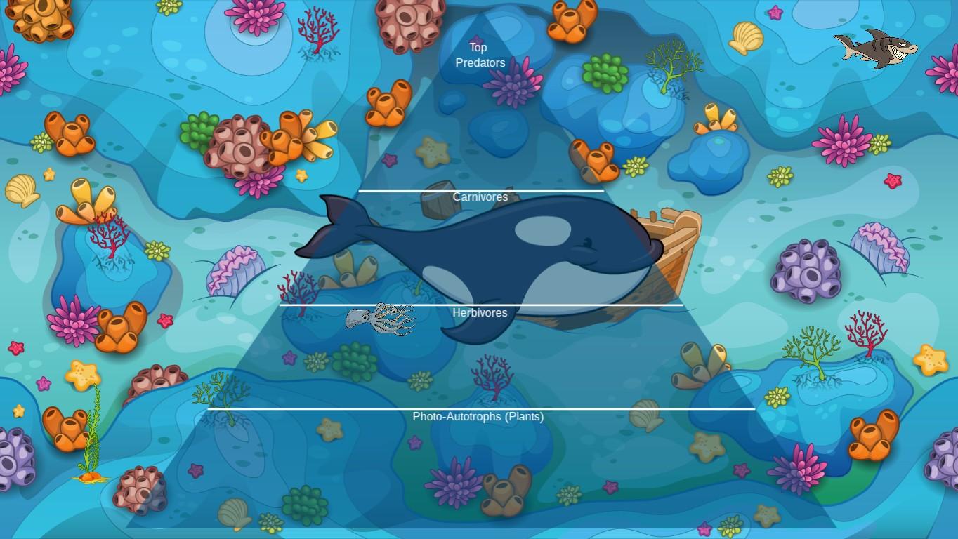 Ocean Ecological Pyramid