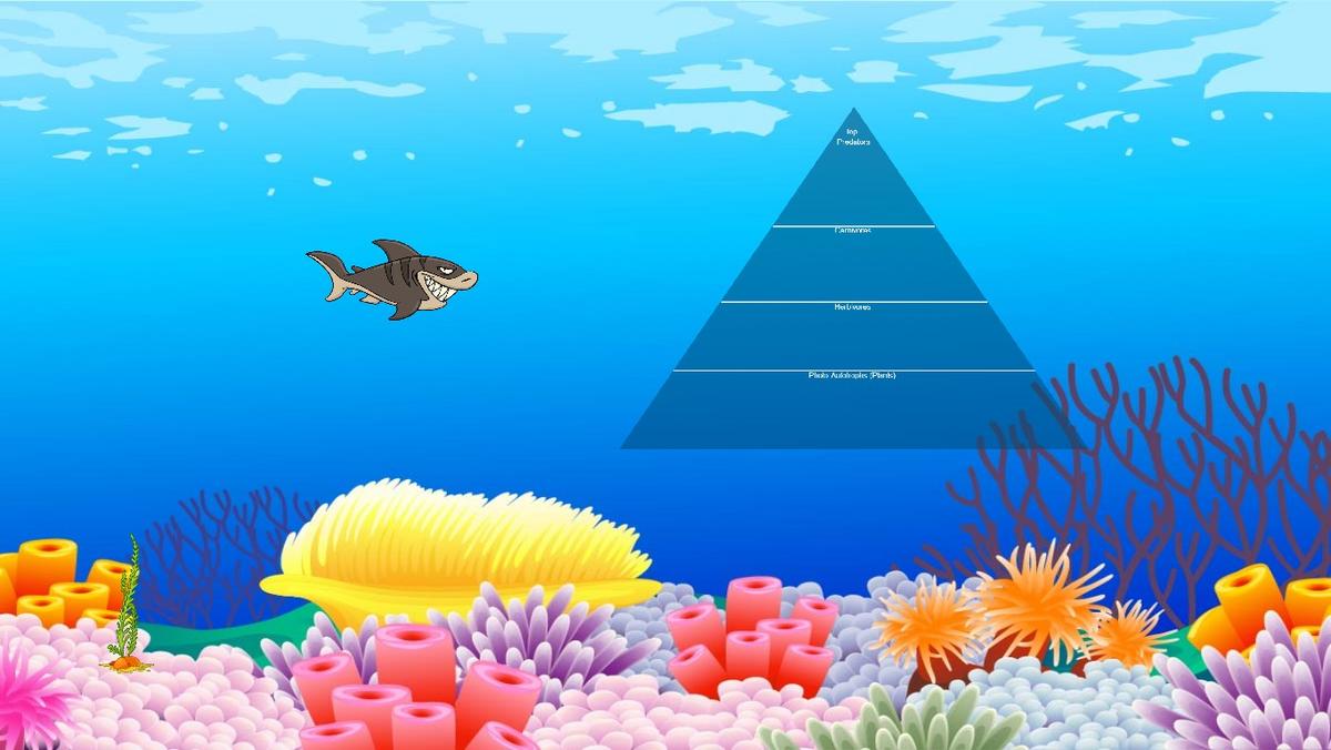 Ocean Ecological Pyramid