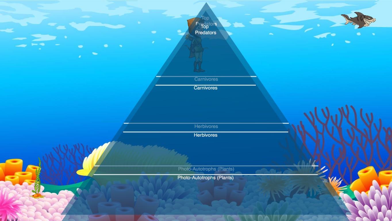 Ocean Ecological Pyramid