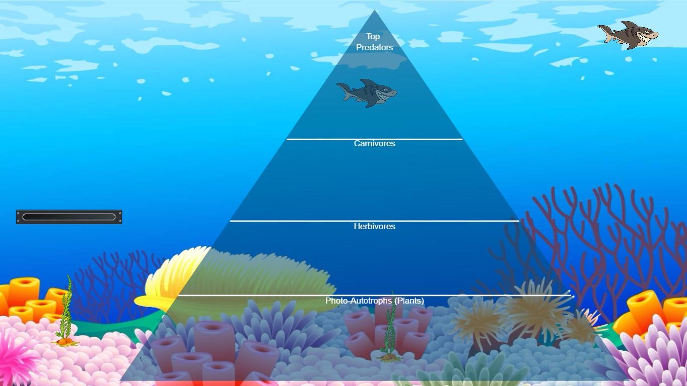 Ocean Ecological Pyramid