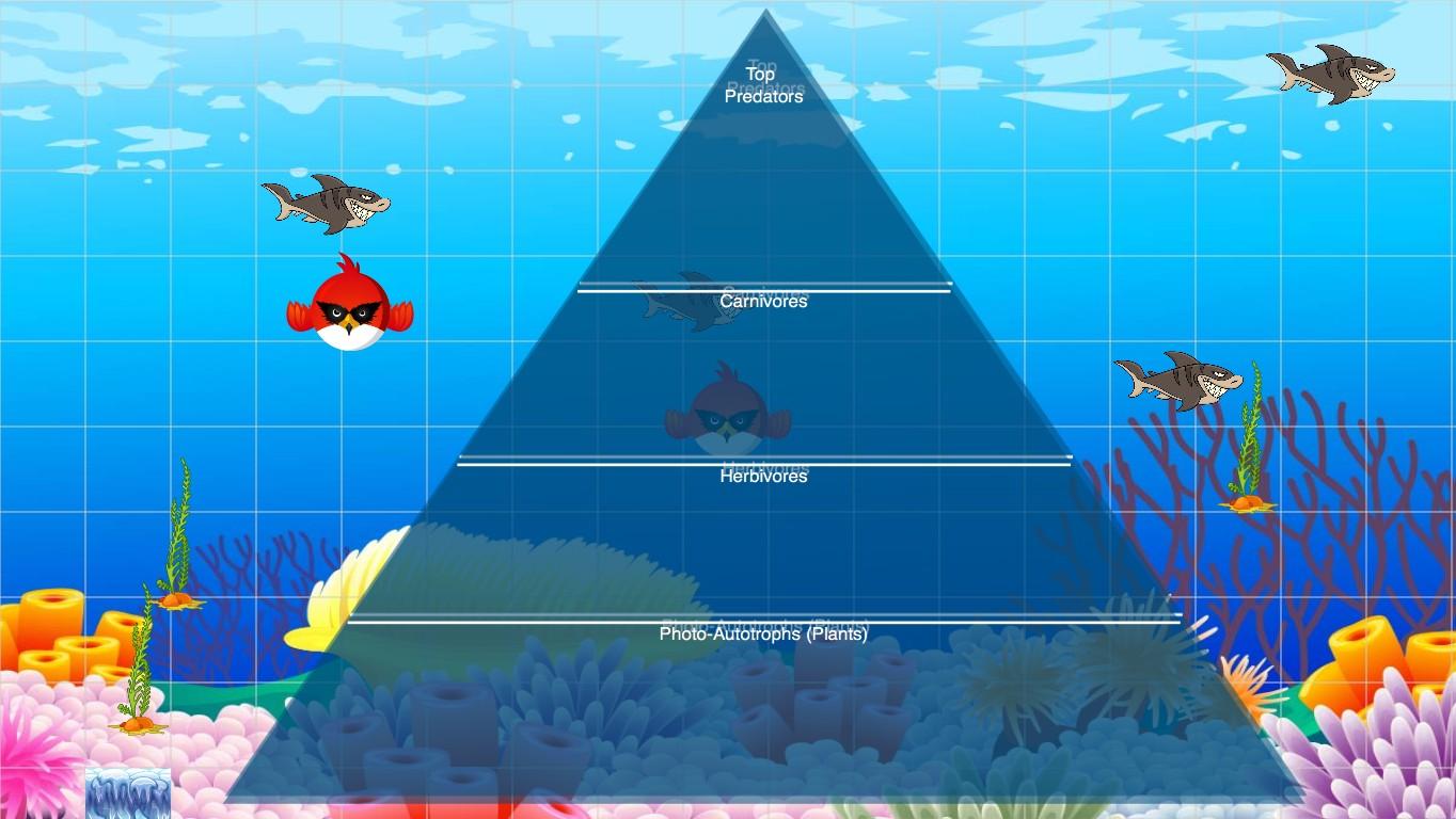 Ocean Ecological Pyramid