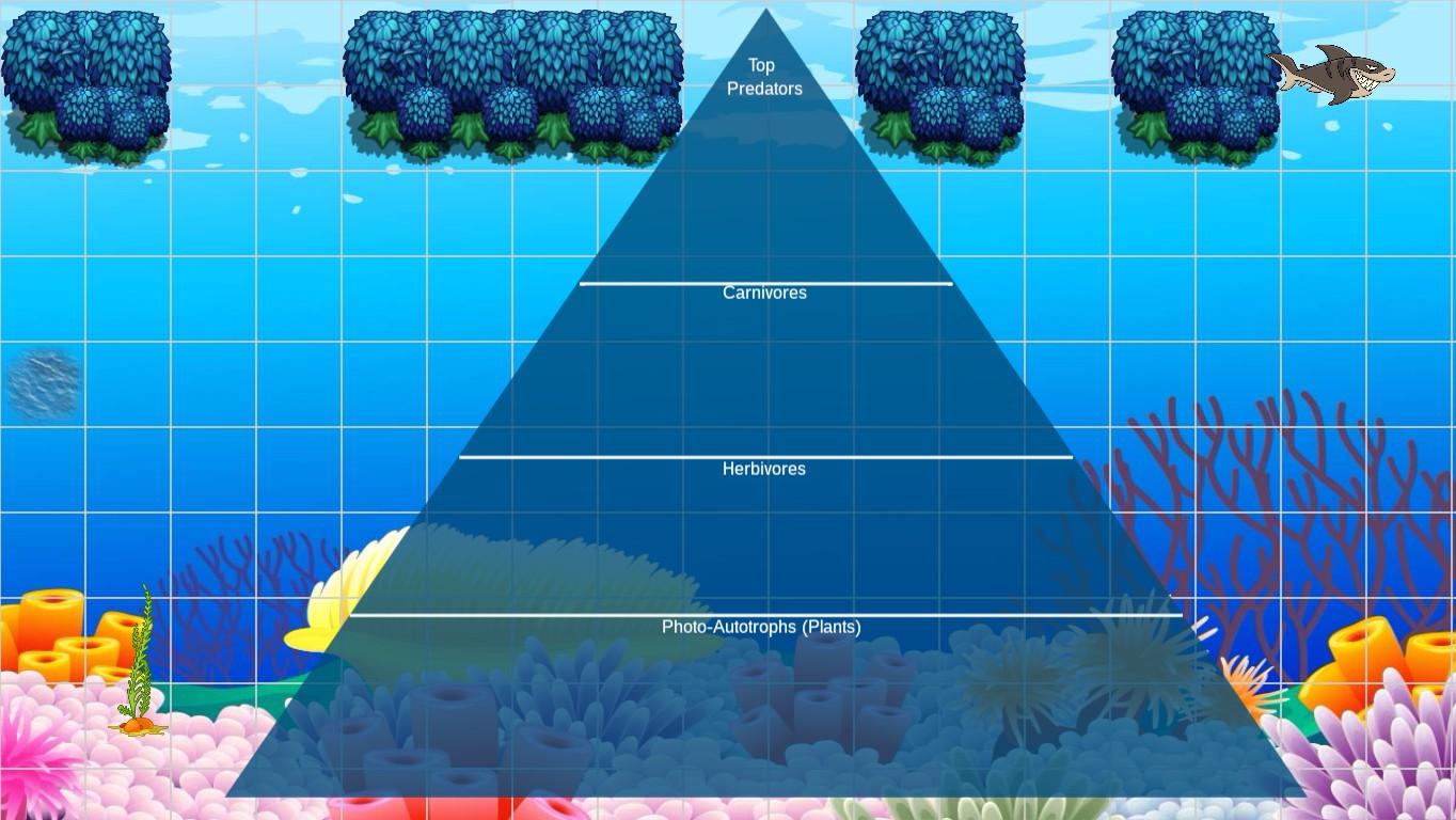 Ocean Ecological Pyramid