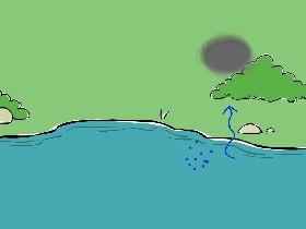 The Water Cycle