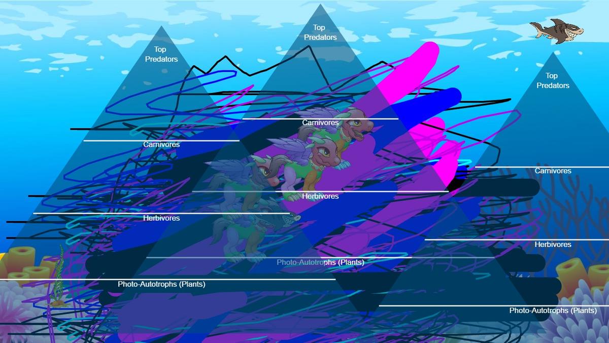 Ocean Ecological Pyramid