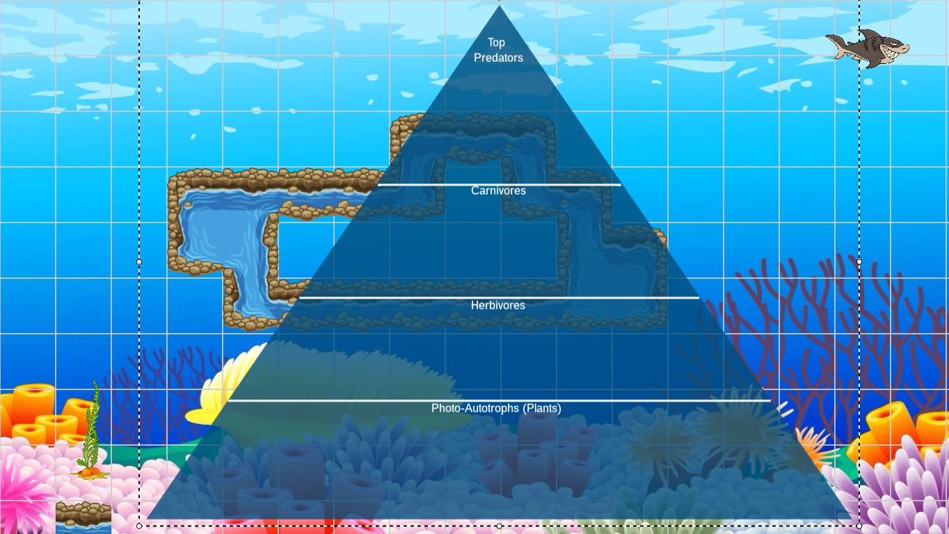 Ocean Ecological Pyramid