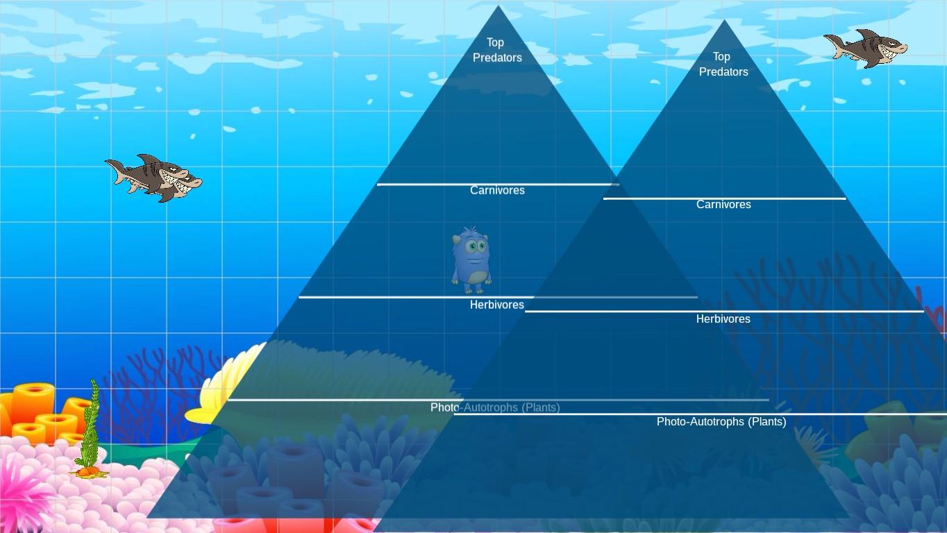 Ocean Ecological Pyramid