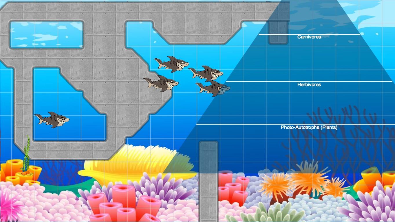 Ocean Ecological Pyramid