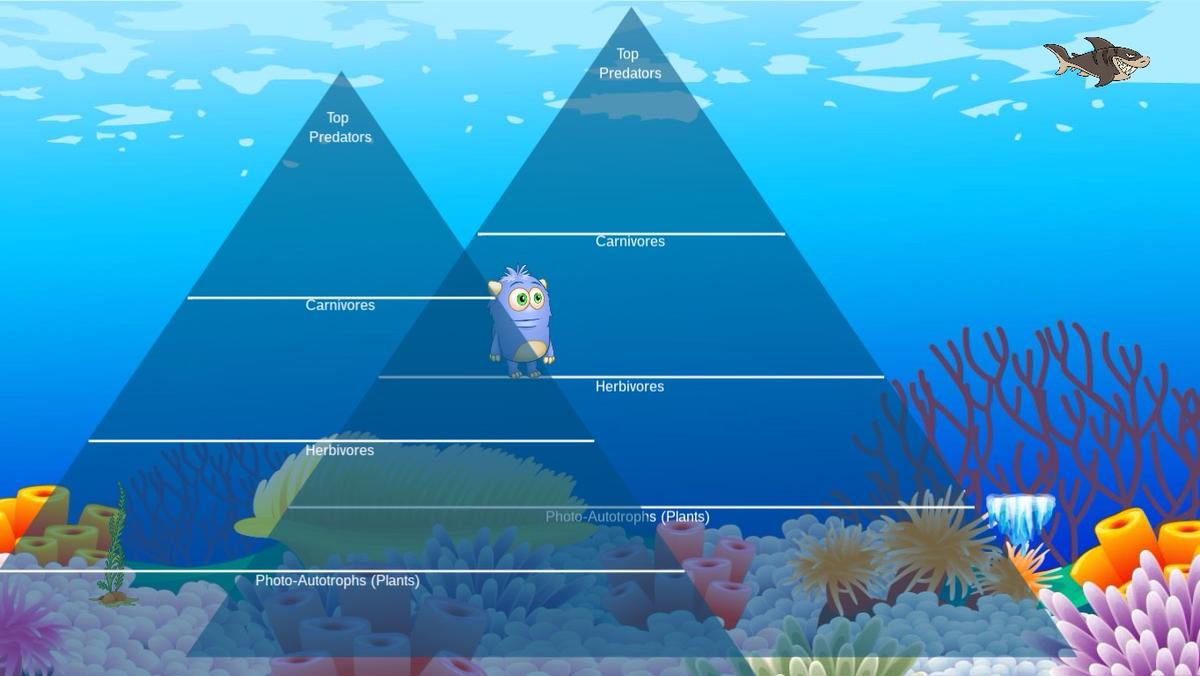 Ocean Ecological Pyramid