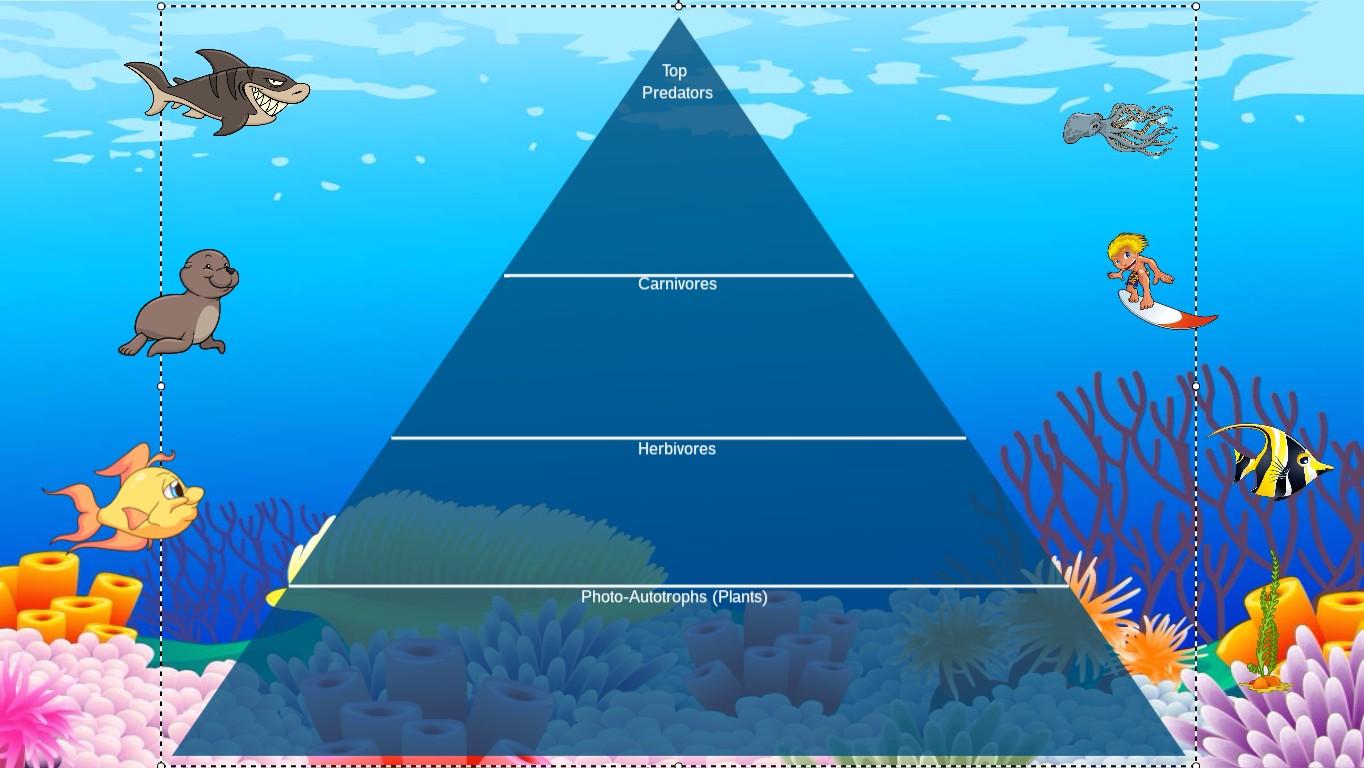 Ocean Ecological Pyramid