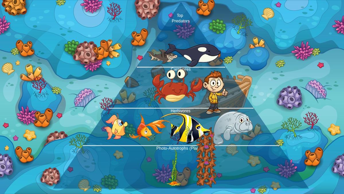 Ocean Ecological Pyramid