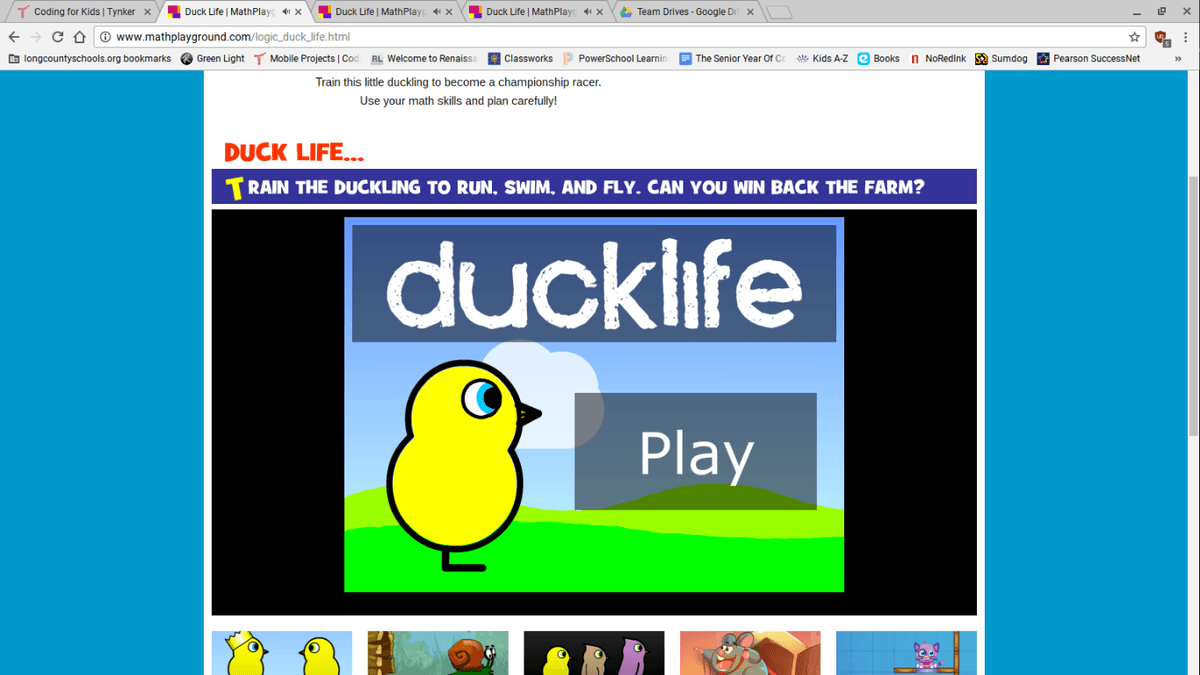 Duck Life 4