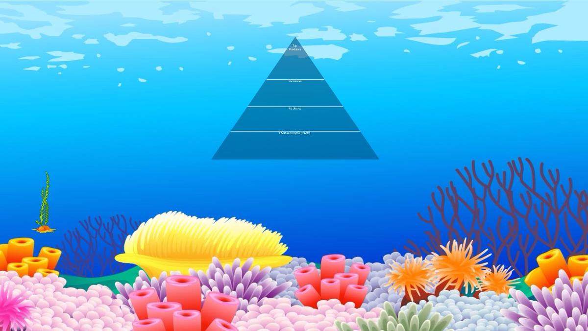 Ocean Ecological Pyramid