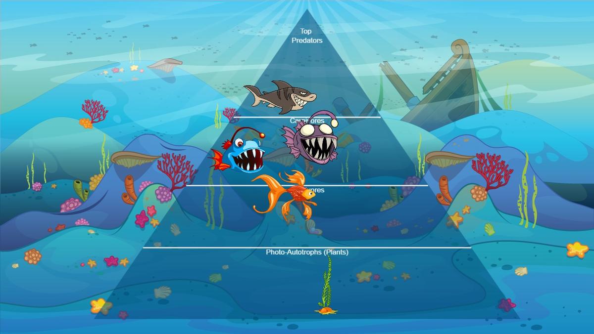 Ocean Ecological Pyramid