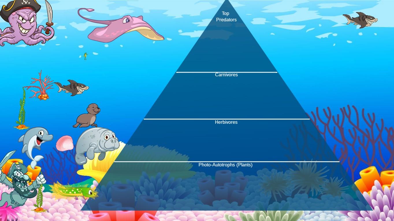 Ocean Ecological Pyramid