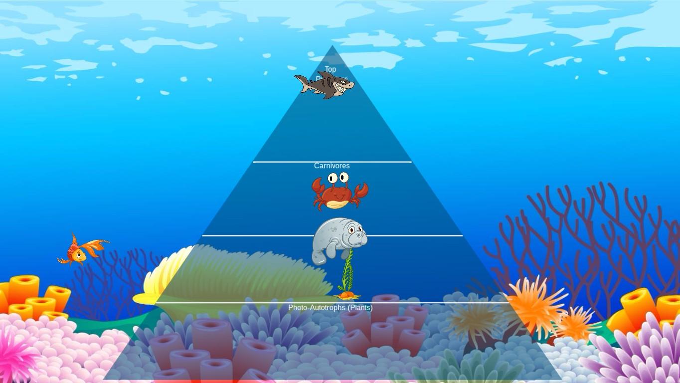 Ocean Ecological Pyramid