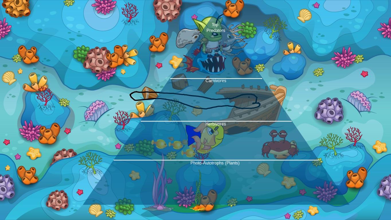 Ocean Ecological Pyramid