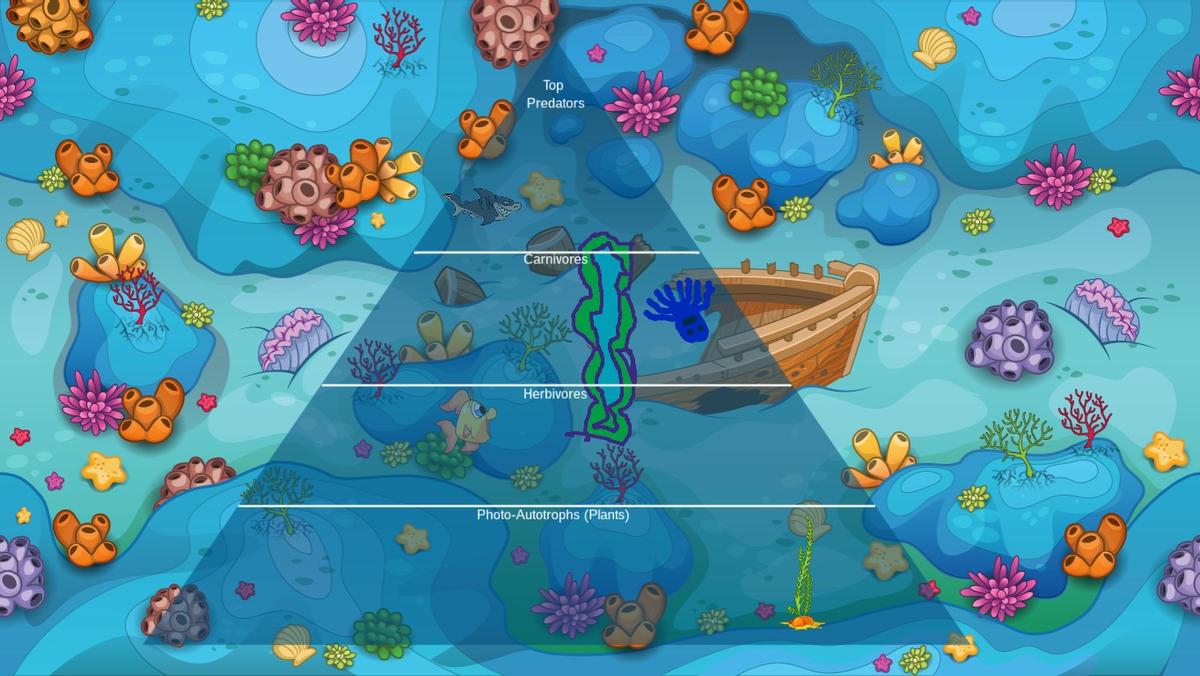 Ocean Ecological Pyramid