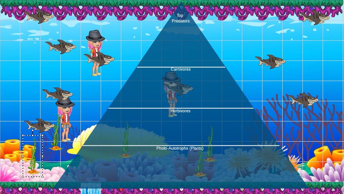 Ocean Ecological Pyramid