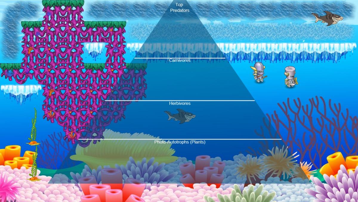 Ocean Ecological Pyramid