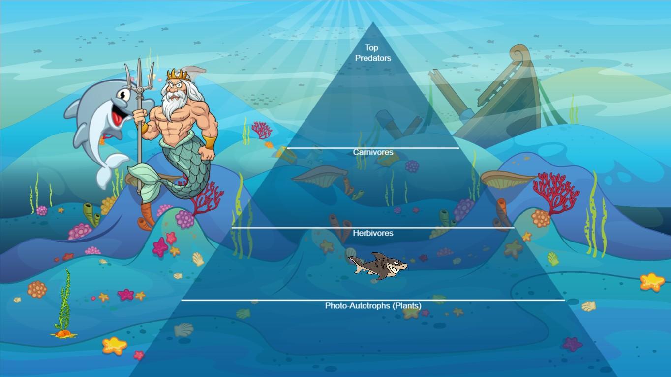 Ocean Ecological Pyramid