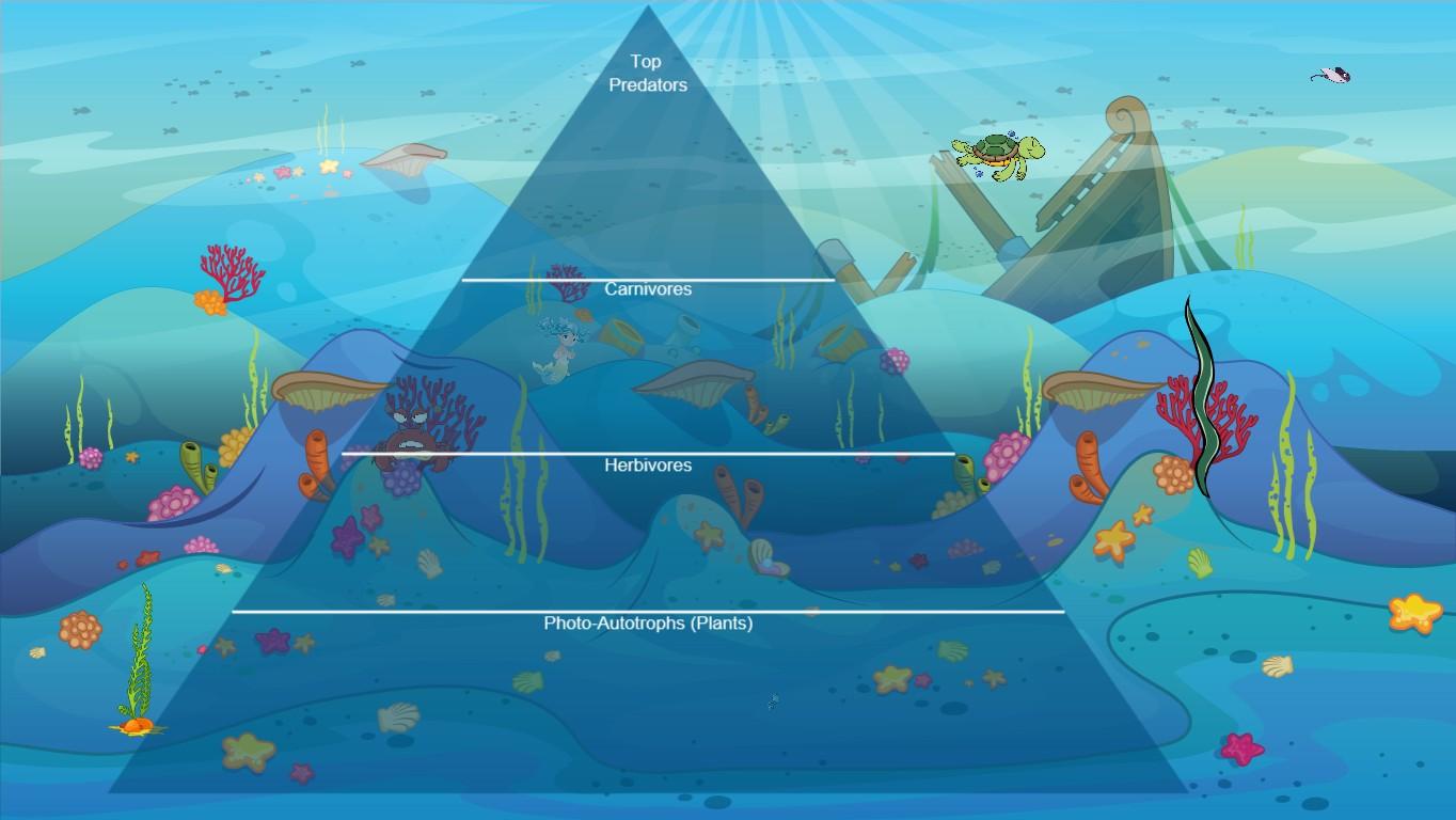 Ocean Ecological Pyramid