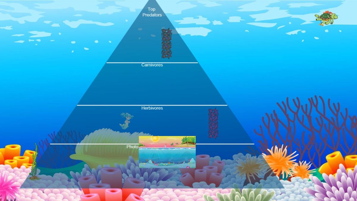 Ocean Ecological Pyramid