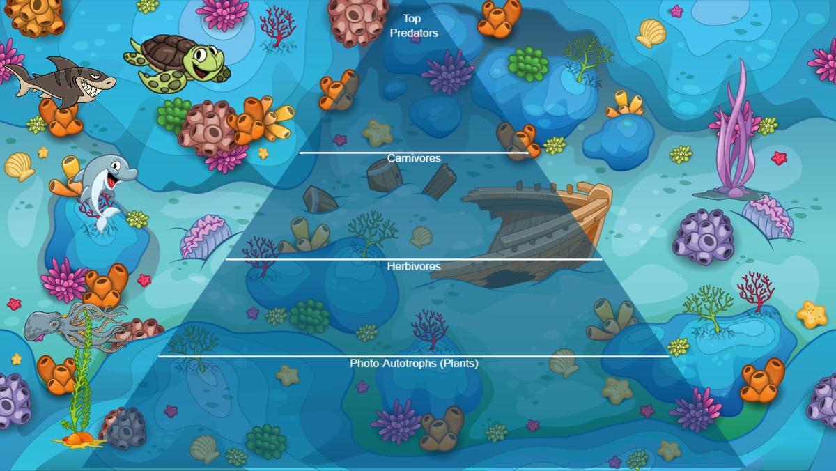 Ocean Ecological Pyramid