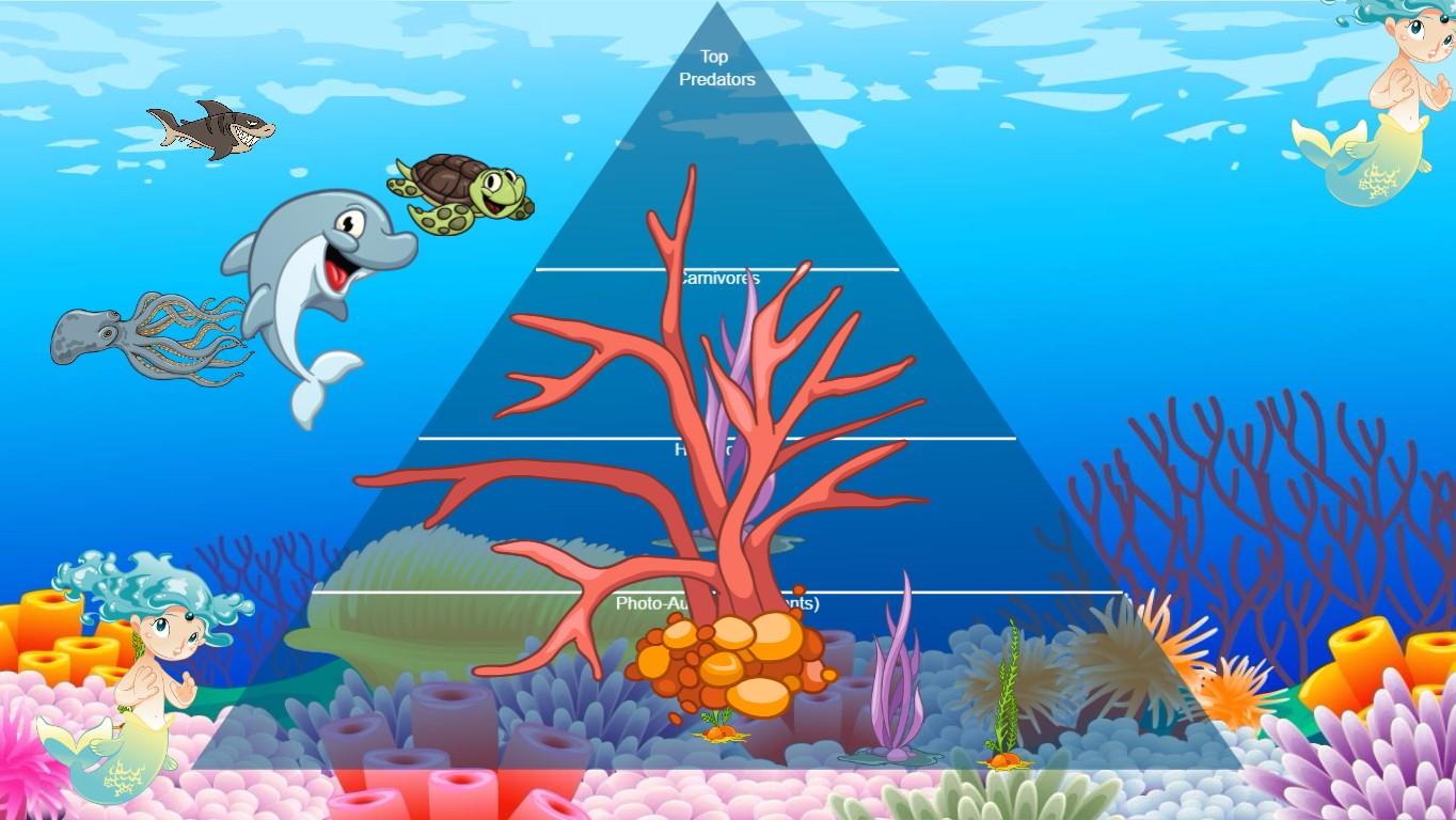 Ocean Ecological Pyramid