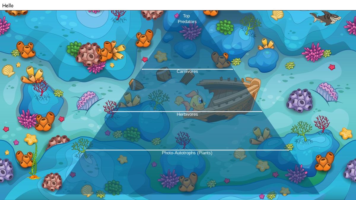 Ocean Ecological Pyramid