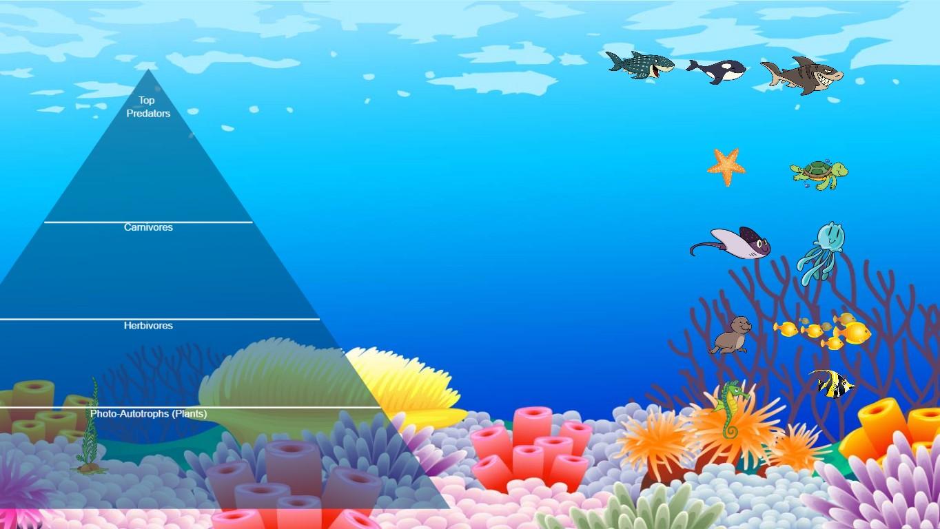 Ocean Ecological Pyramid