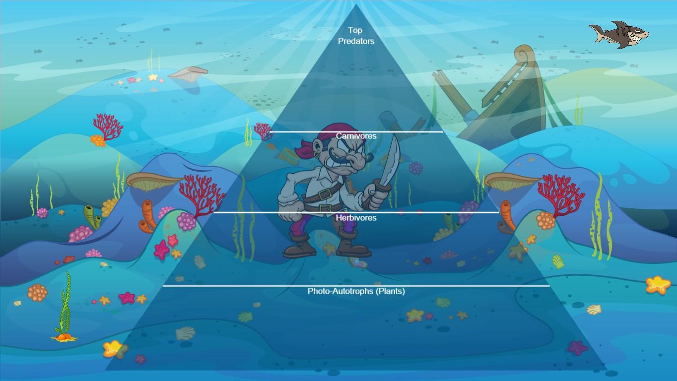 Ocean Ecological Pyramid