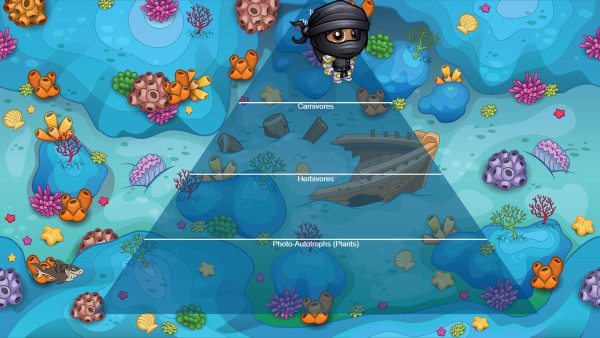 Ocean Ecological Pyramid