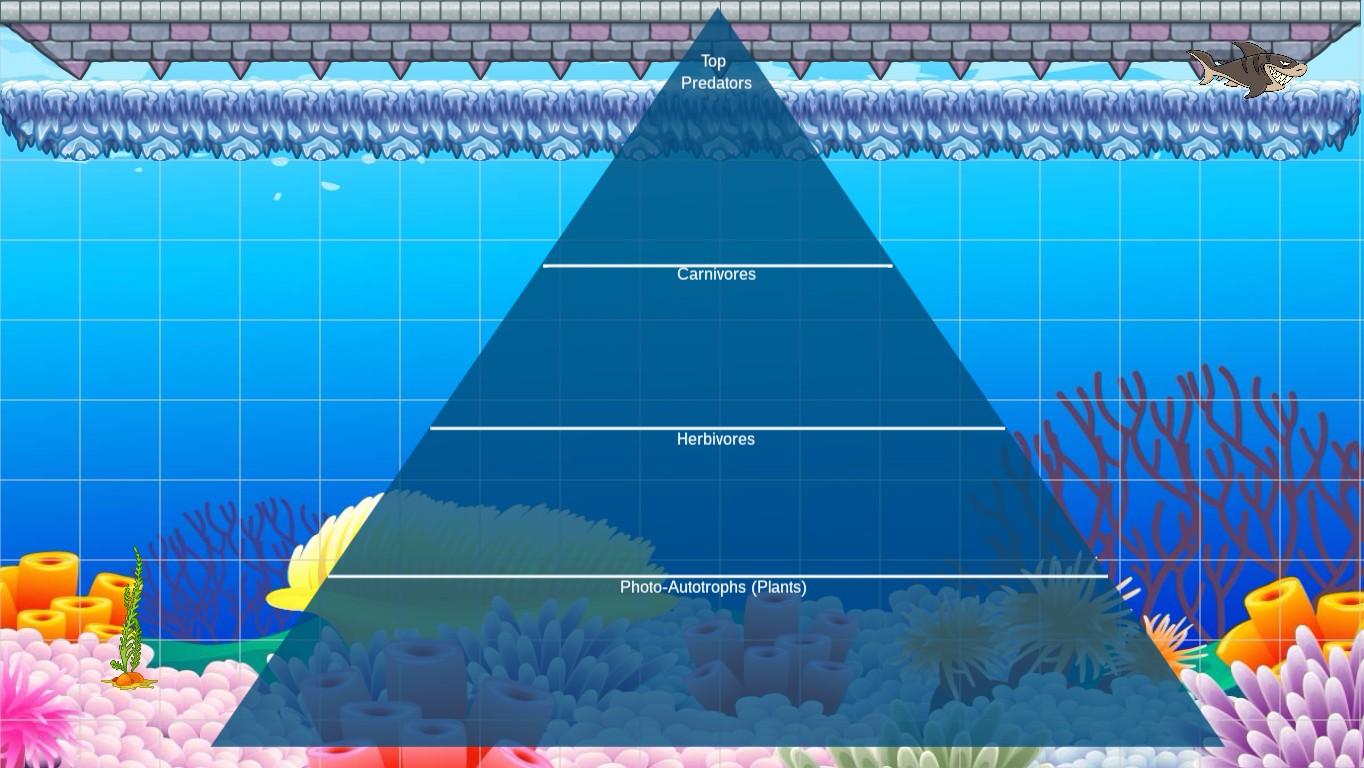 Ocean Ecological Pyramid