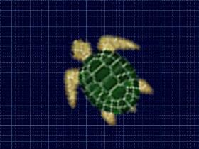 turtle twist