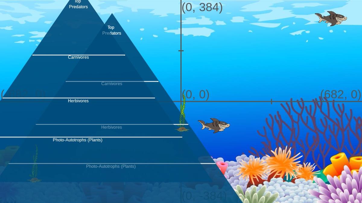 Ocean Ecological Pyramid