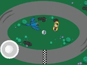 bird/ car race