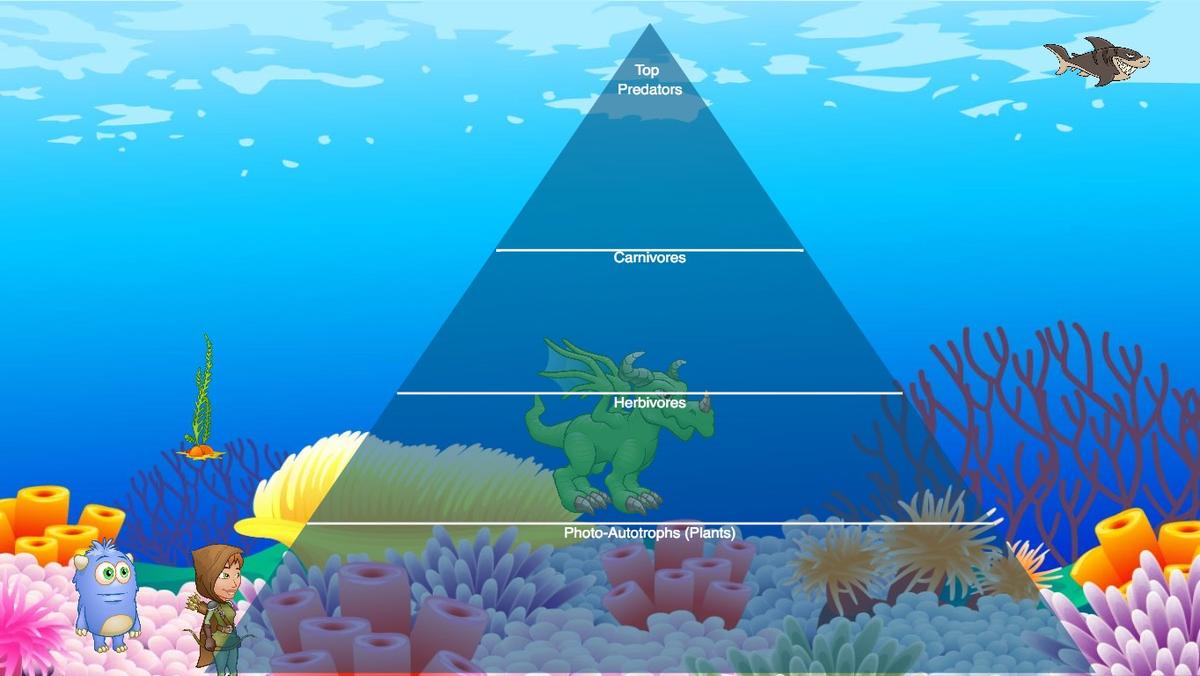 Ocean Ecological Pyramid