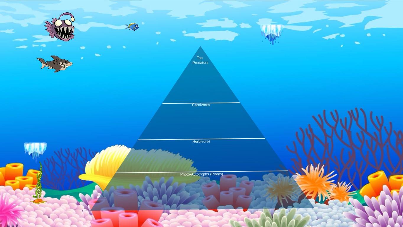 Ocean Ecological Pyramid