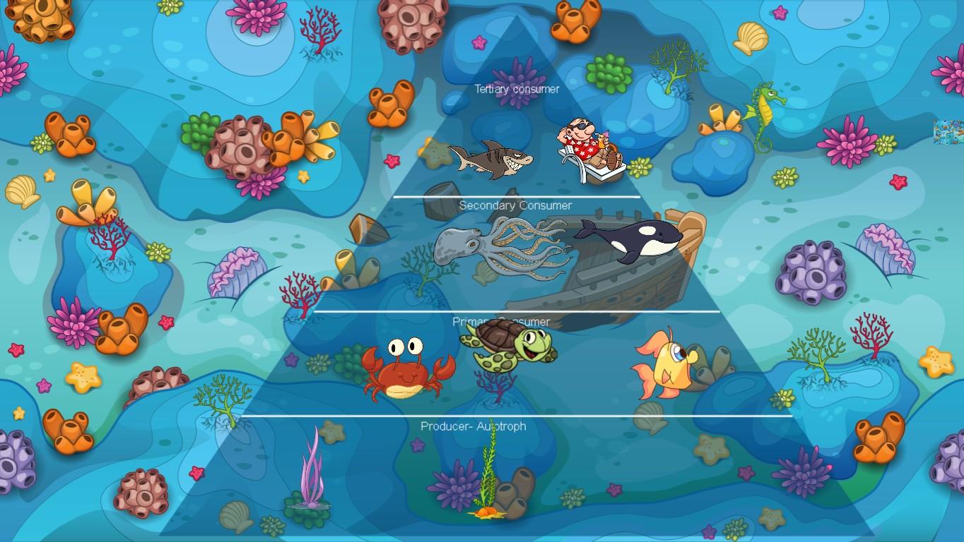 Ocean Ecological Pyramid