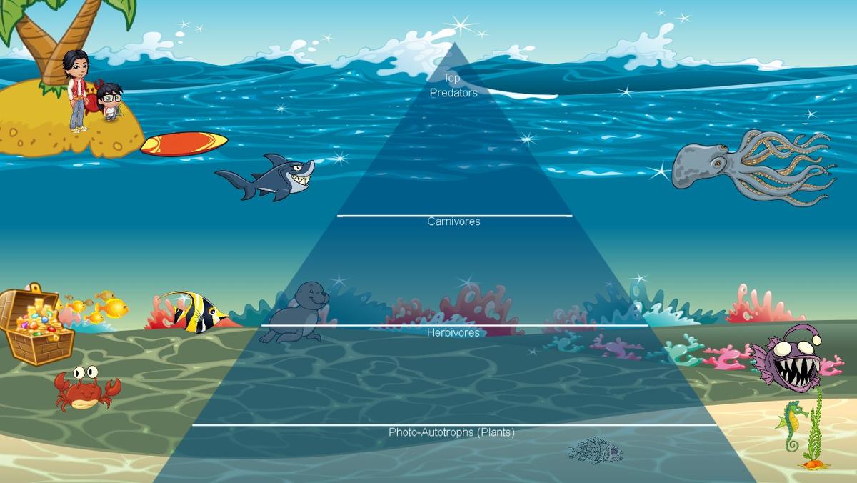 Ocean Ecological Pyramid