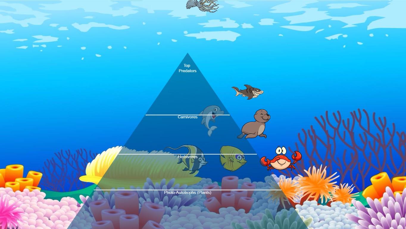 Ocean Ecological Pyramid