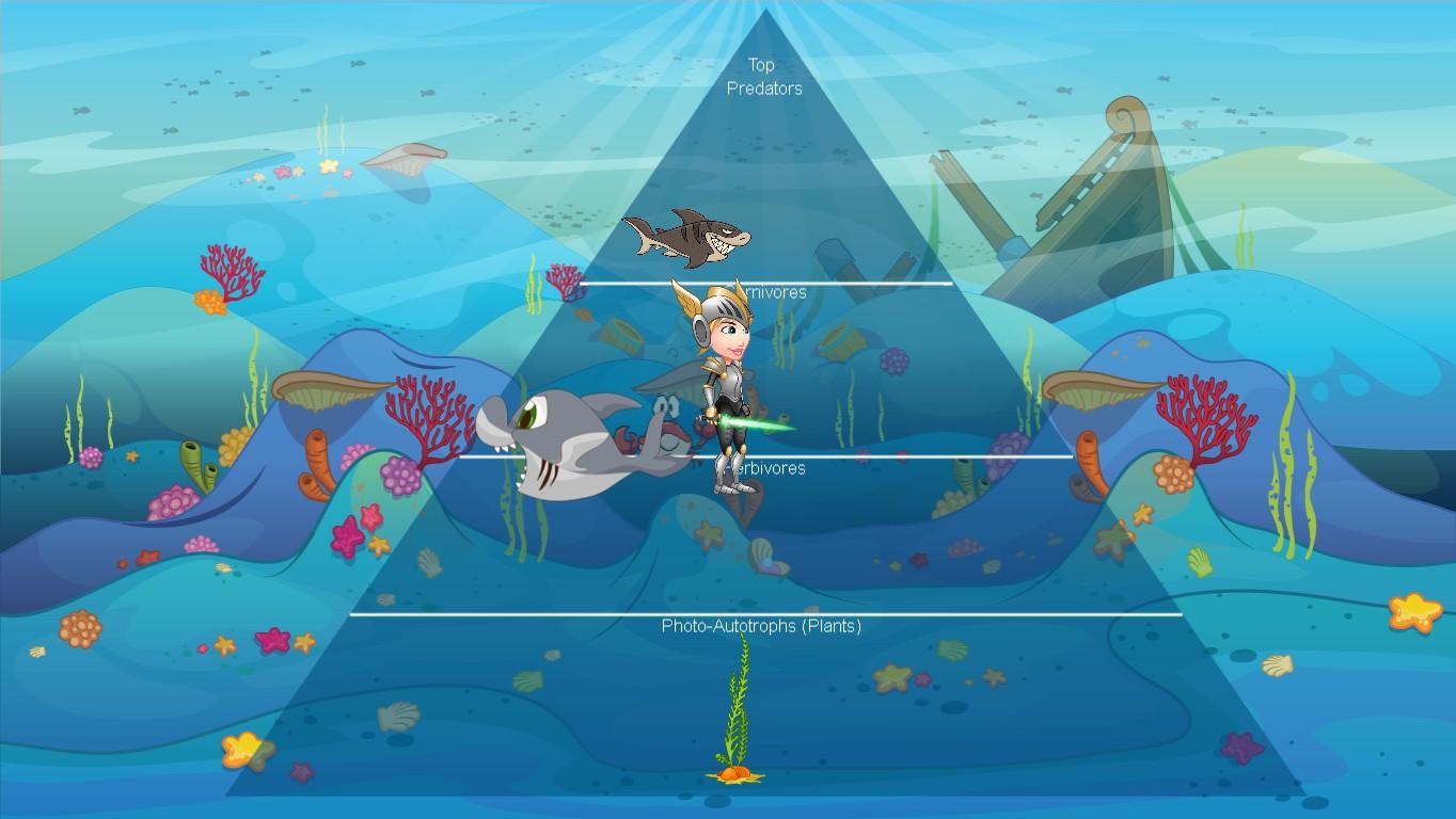 Ocean Ecological Pyramid