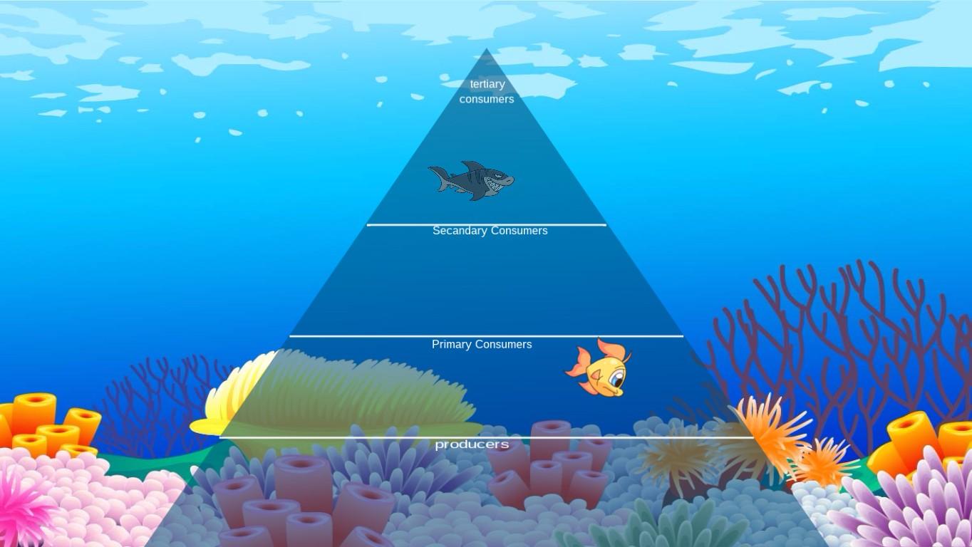 Ocean Ecological Pyramid