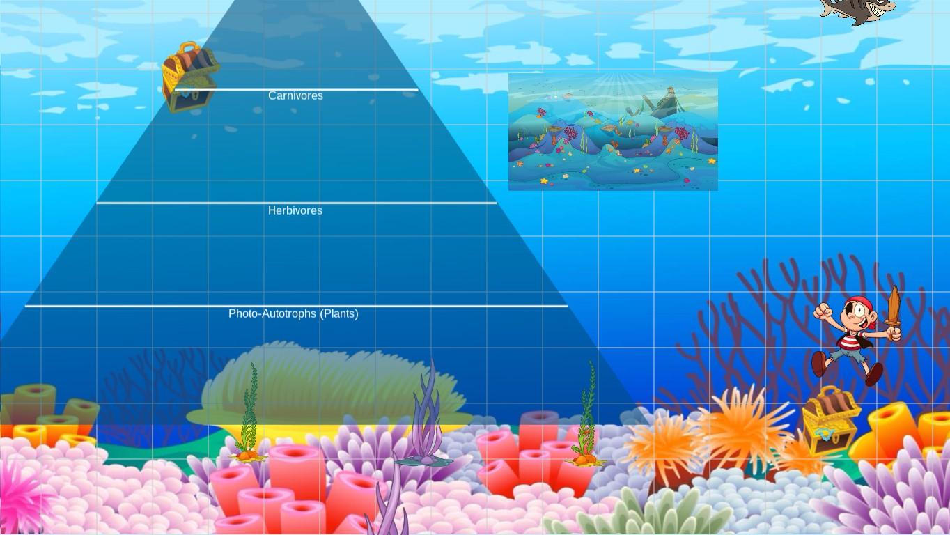 Ocean Ecological Pyramid