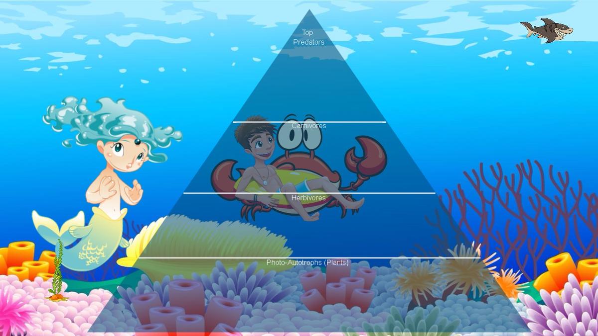 Ocean Ecological Pyramid