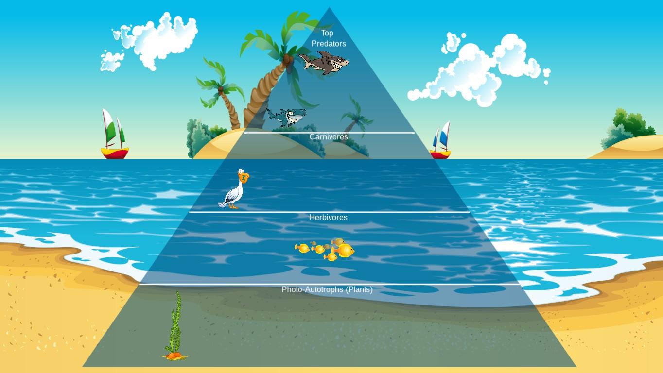 Ocean Ecological Pyramid