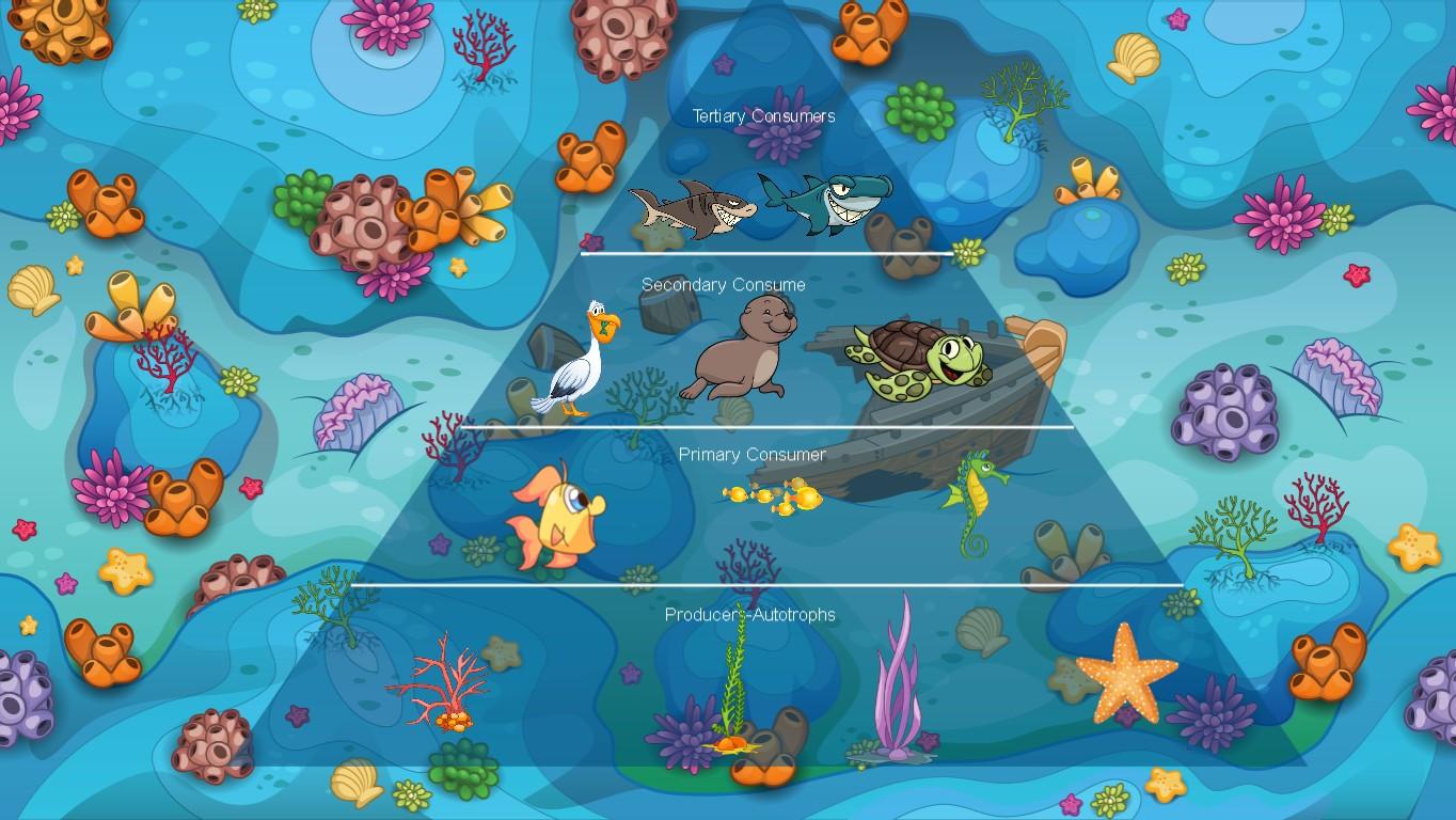 Ocean Ecological Pyramid