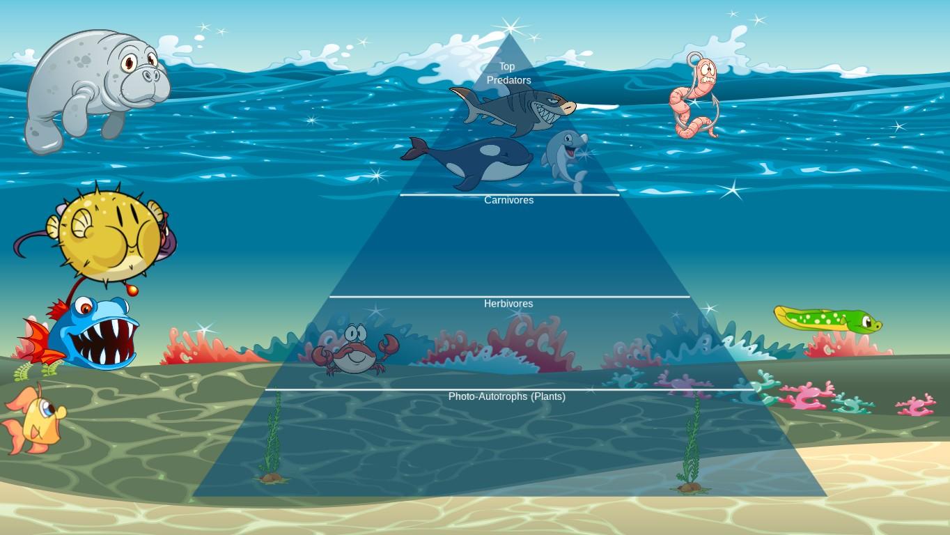 Ocean Ecological Pyramid