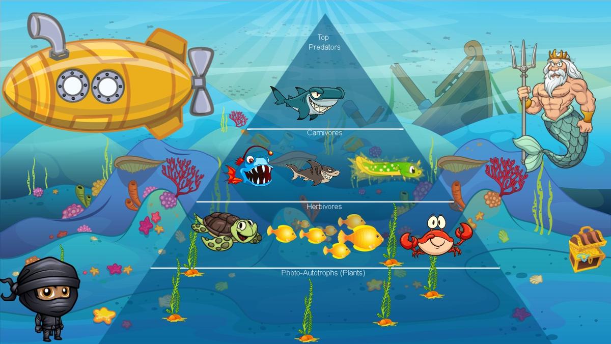 Ocean Ecological Pyramid